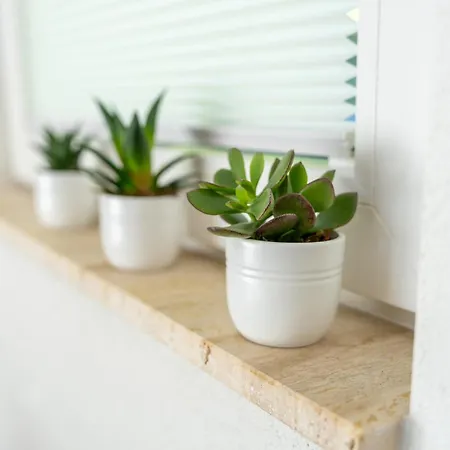 Seesicht - Rueckzugsort Oberhalb Vom Bodensee * Wienacht-Tobel