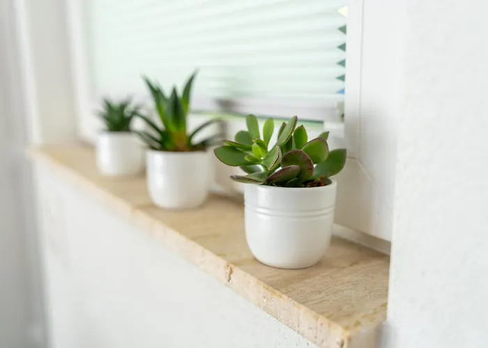 Seesicht - Rückzugsort Mit Sauna Und Freizeitlounge * Wienacht-Tobel